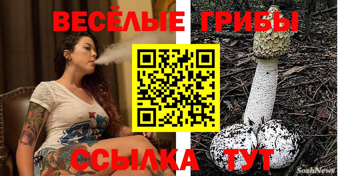Галлюциногенные грибы Psilocybine cubensis  Вход с VPN  дарнет шоп  Прохладный 